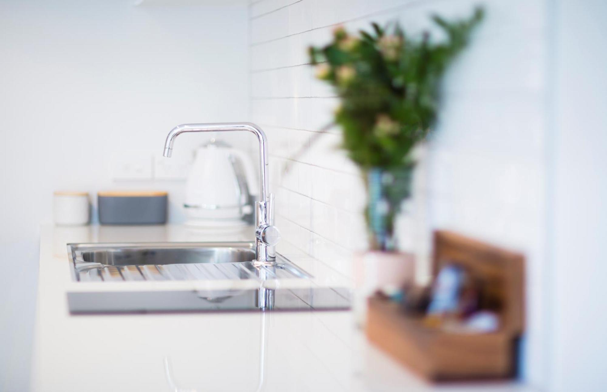 Beechwood Boutique Accommodation Dunedin Esterno foto