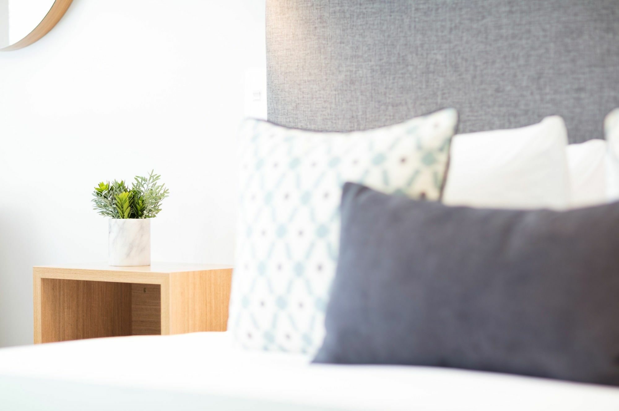 Beechwood Boutique Accommodation Dunedin Esterno foto